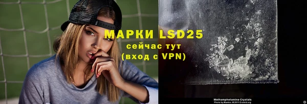 PSILOCYBIN Аркадак
