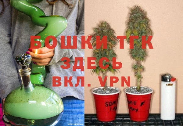 PSILOCYBIN Аркадак