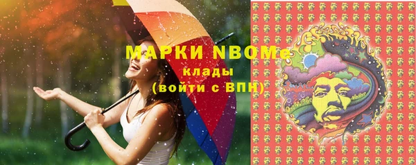 PSILOCYBIN Аркадак