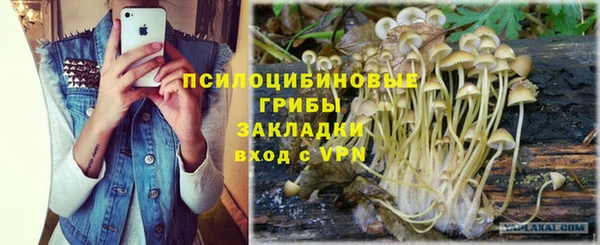PSILOCYBIN Аркадак