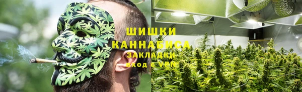 PSILOCYBIN Аркадак