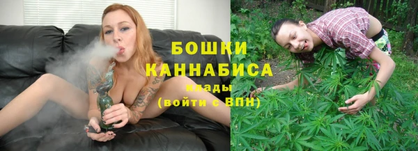 PSILOCYBIN Аркадак