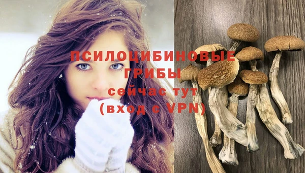 МДПВ Алексин